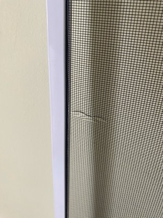 Mosquiteras extensibles para ventanas (2 unidades)