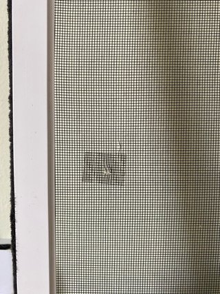 Mosquiteras extensibles para ventanas (2 unidades)