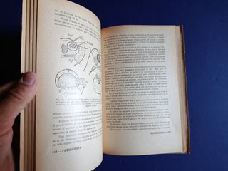 TAXIDERMIA. Entomología y Herbarios. 1952.