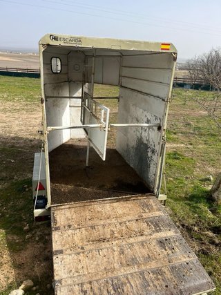 Remolque para caballos Escarda