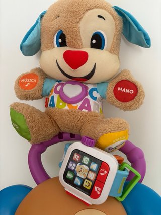 Pack Fisher Price Perro Juguete