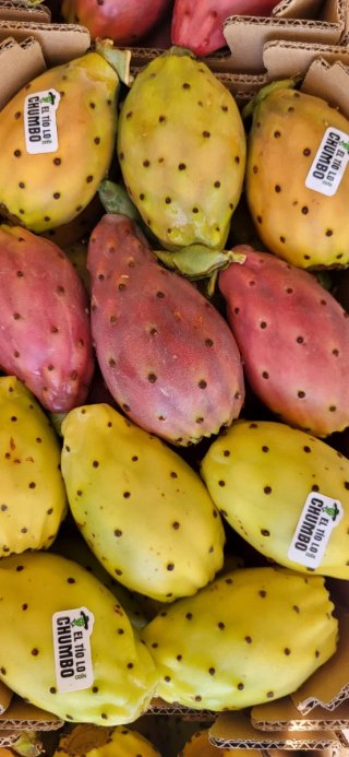 8 kg de chumbos a domicilio