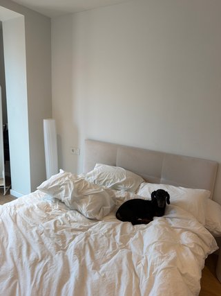 Cama tapizada + colchón Sleep Barcelona 160cm
