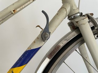 Bicicleta Paseo Rieju