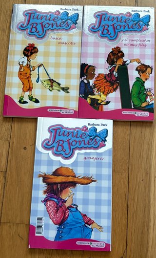 Lote de 15 libros de la colección Junie B. Jones.