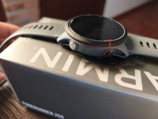 Garmin Forerunner 255 Gris