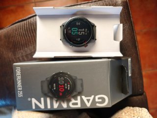 Garmin Forerunner 255 Gris