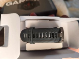 Garmin Forerunner 255 Gris