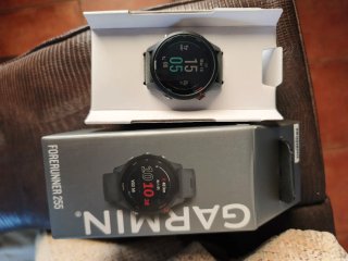 Garmin Forerunner 255 Gris