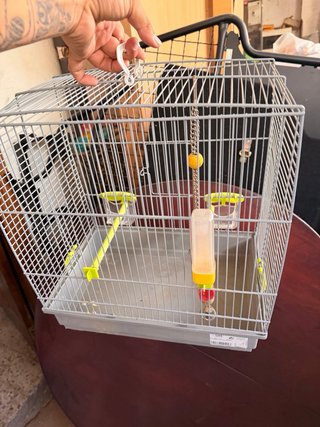 Jaula mediana para pájaros