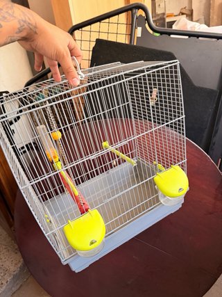 Jaula mediana para pájaros