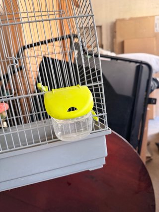 Jaula mediana para pájaros