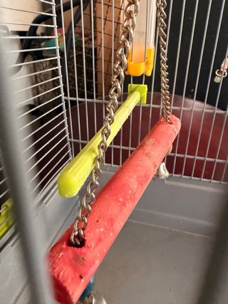 Jaula mediana para pájaros