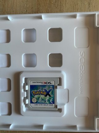 Pokemon X Nintendo 3DS