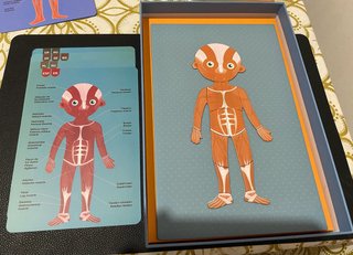 Juego magnético El Cuerpo Humano Apli Kids