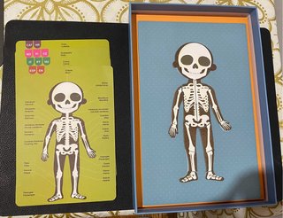 Juego magnético El Cuerpo Humano Apli Kids