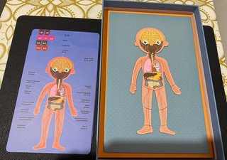 Juego magnético El Cuerpo Humano Apli Kids