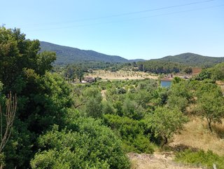 Solar urbanizable en Calviá-Mallorca