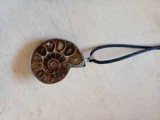Collar Fosil Caracola  con un reborde color plata