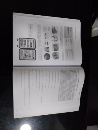 Aprende lo básico. Lengua castellana y Literatu...