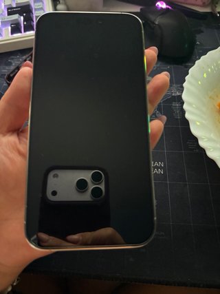 iPhone 14 Pro Max Plata