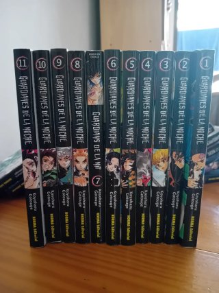 Colección manga Guardianes de la noche