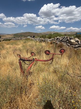 Rastrillo/Recogedor agrícola