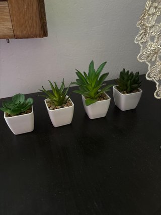 Plantas artificiales decorativas (Set de 4)