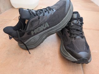 Hoka Challenger 8 y Speedgoat 6 45 1/3