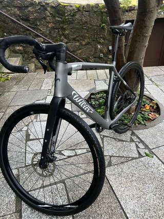 Wilier Jena Gris L