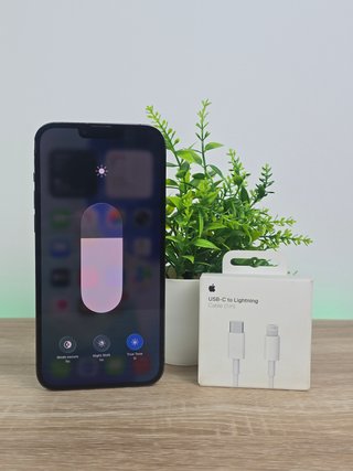 iPhone 13 Pro  100%