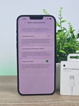 iPhone 13 Pro  100%