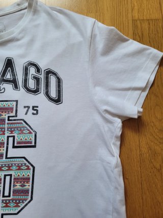Camiseta Chicago Cedar Wood State Talla M