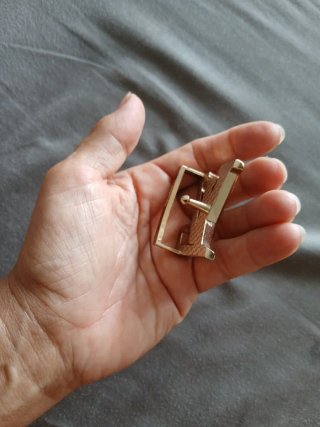 Hebilla Louis Vuitton LV Dorado y Plateado