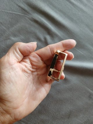 Hebilla Louis Vuitton LV Dorado y Plateado