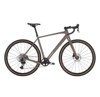 Trek Checkpoint ALR 5 Gen 3