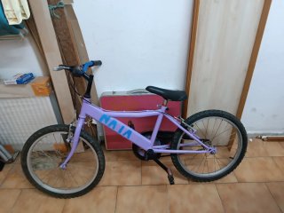 Bicicleta Infantil 20 Morada
