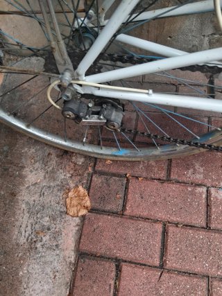 Bicicleta Orbea Laida Retro Paseo