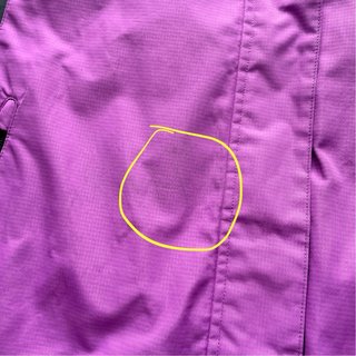 Chaqueta deportiva Skiing Bird morada y negra