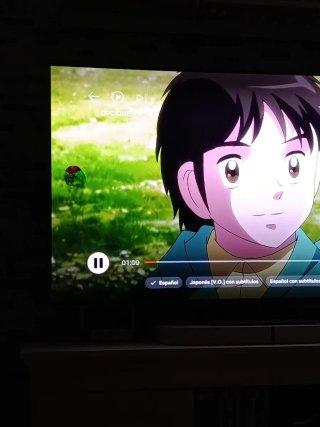 Leer bien TV Samsung S95B 65 pulgadas