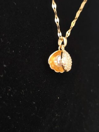 Cadena dorada con colgante de concha.