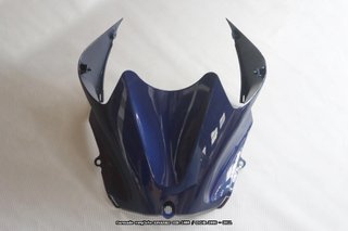 Oferta especial Carenado KAWASAKI ZZR 1400 2006