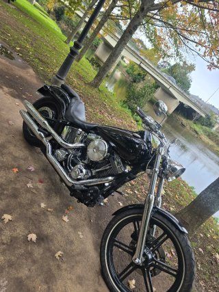 Harley-Davidson Softail Negra