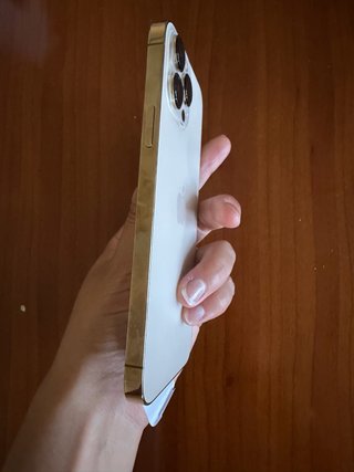 iPhone 13 Pro Max Dorado