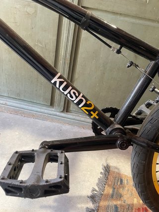 BMX mafia kush 2+