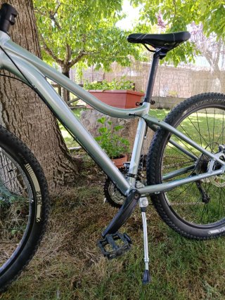 Bicicleta Trek Mujer