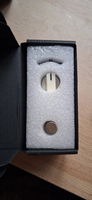 Mooer Skyverb + Fuente Alimentación