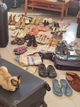 Lote Zapatos Chanclas Sandalias Maleta