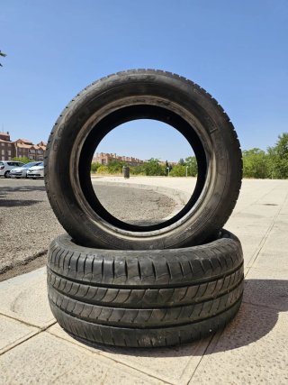 Goodyear Efficientgrip Performance 205/55 R16 91H