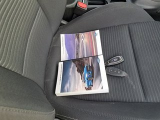 Ford Focus 1.5 Ecoblue Titanium 88 kW (120 CV)